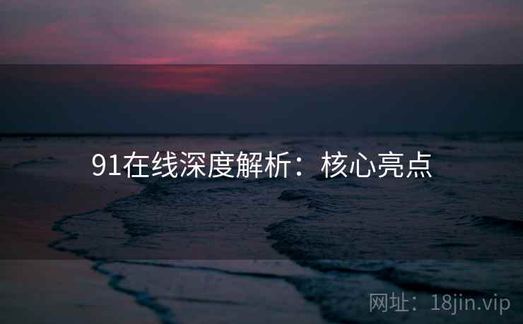 91在线深度解析：核心亮点