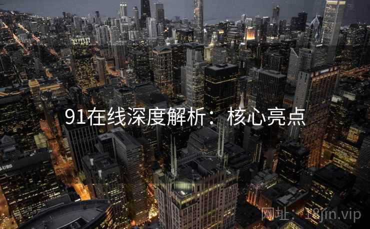 91在线深度解析：核心亮点
