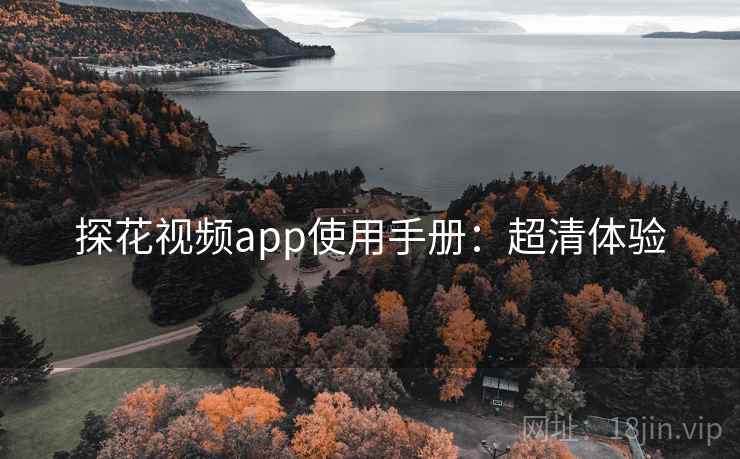 探花视频app使用手册：超清体验