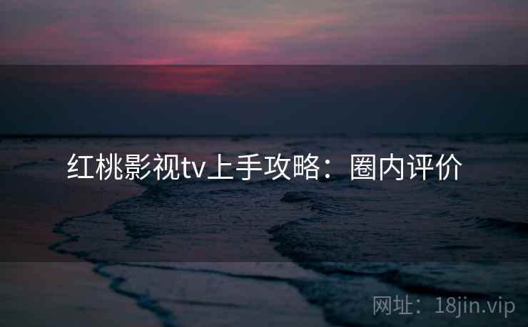 红桃影视tv上手攻略：圈内评价