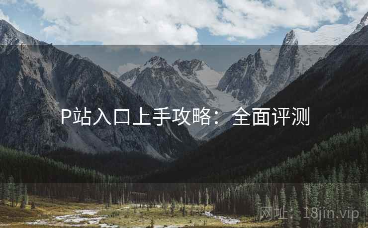 P站入口上手攻略：全面评测