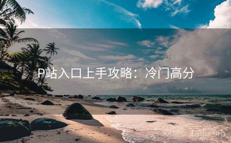 P站入口上手攻略：冷门高分