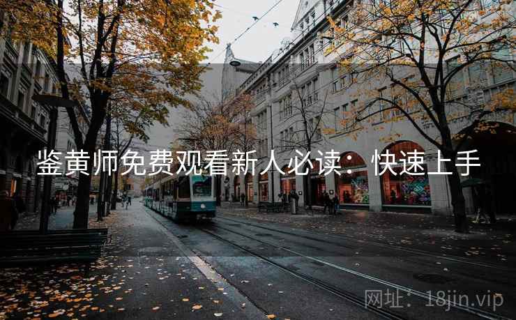 鉴黄师免费观看新人必读：快速上手